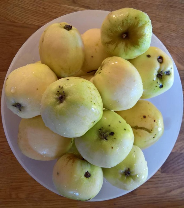 farmyzdrowia ocet jablkowy 600 3